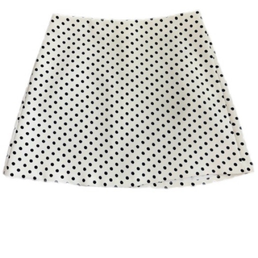 Zara Polka Dot Skirt